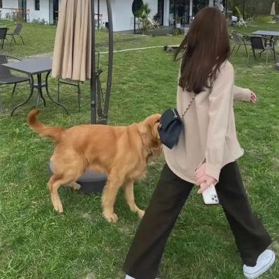 恶之心
